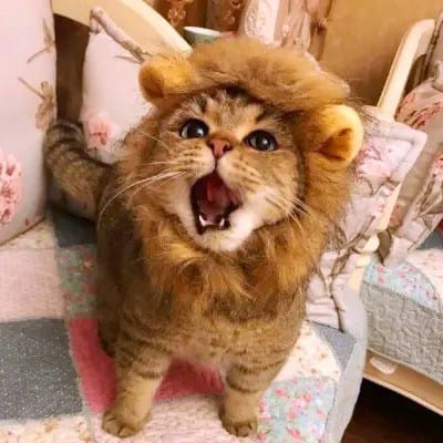 Gerald Anderson avatar